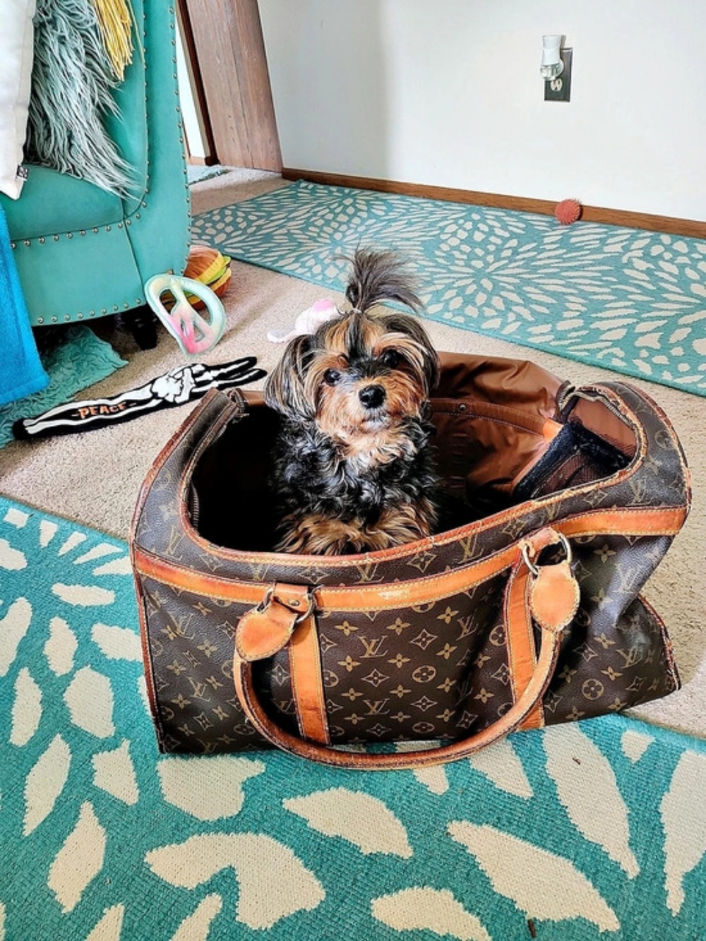 Louis Vuitton Sac Chien 40 Monogram Travel Bag in Brown & Tan